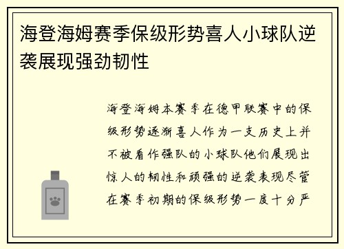 海登海姆赛季保级形势喜人小球队逆袭展现强劲韧性